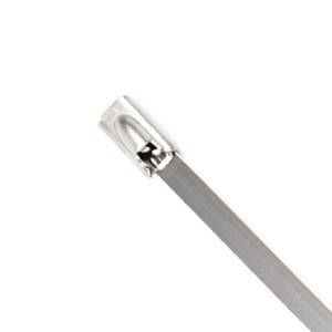 A stainless steel cable tie from Cable Ties Plus.